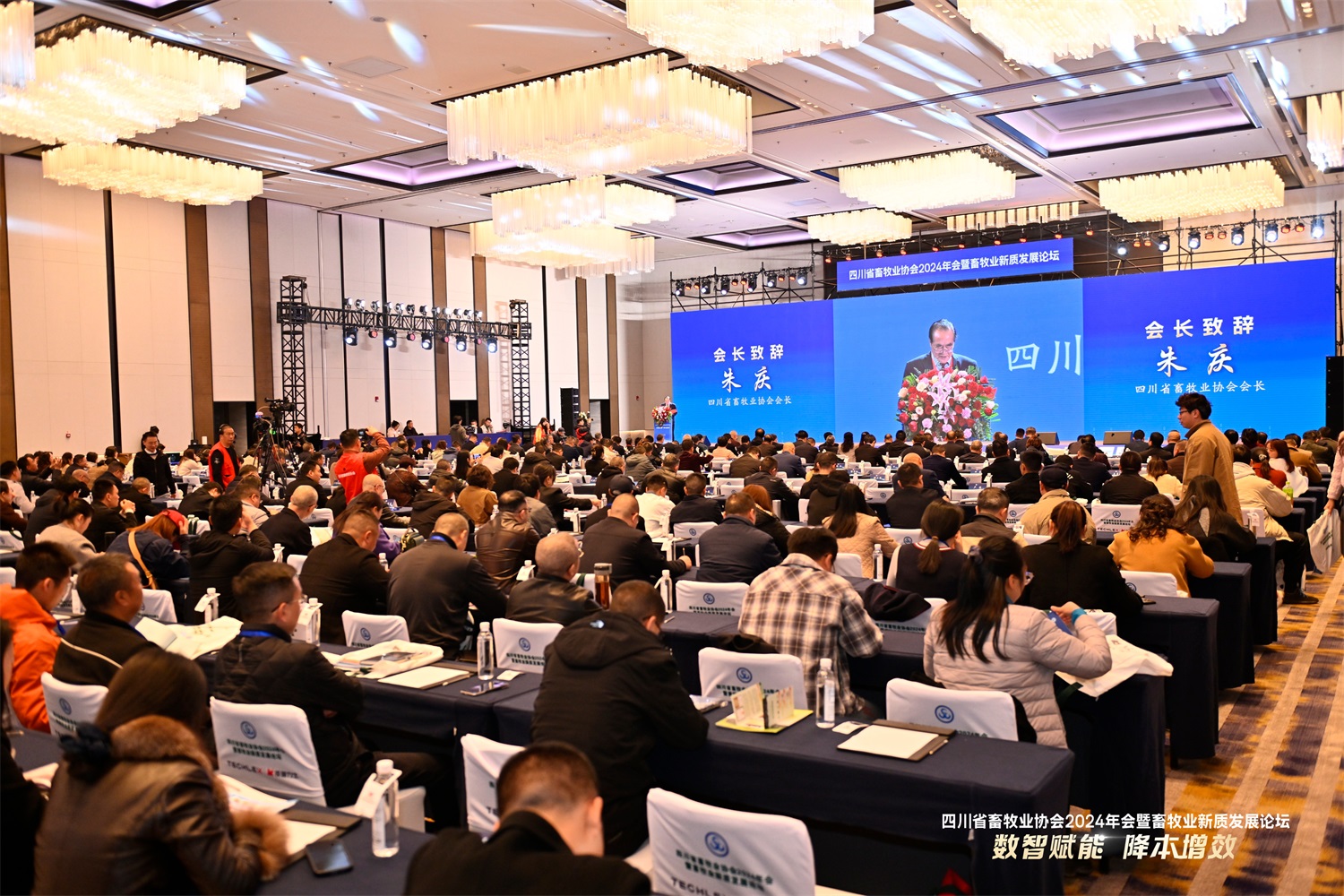 多彩网(中国区)官方网站